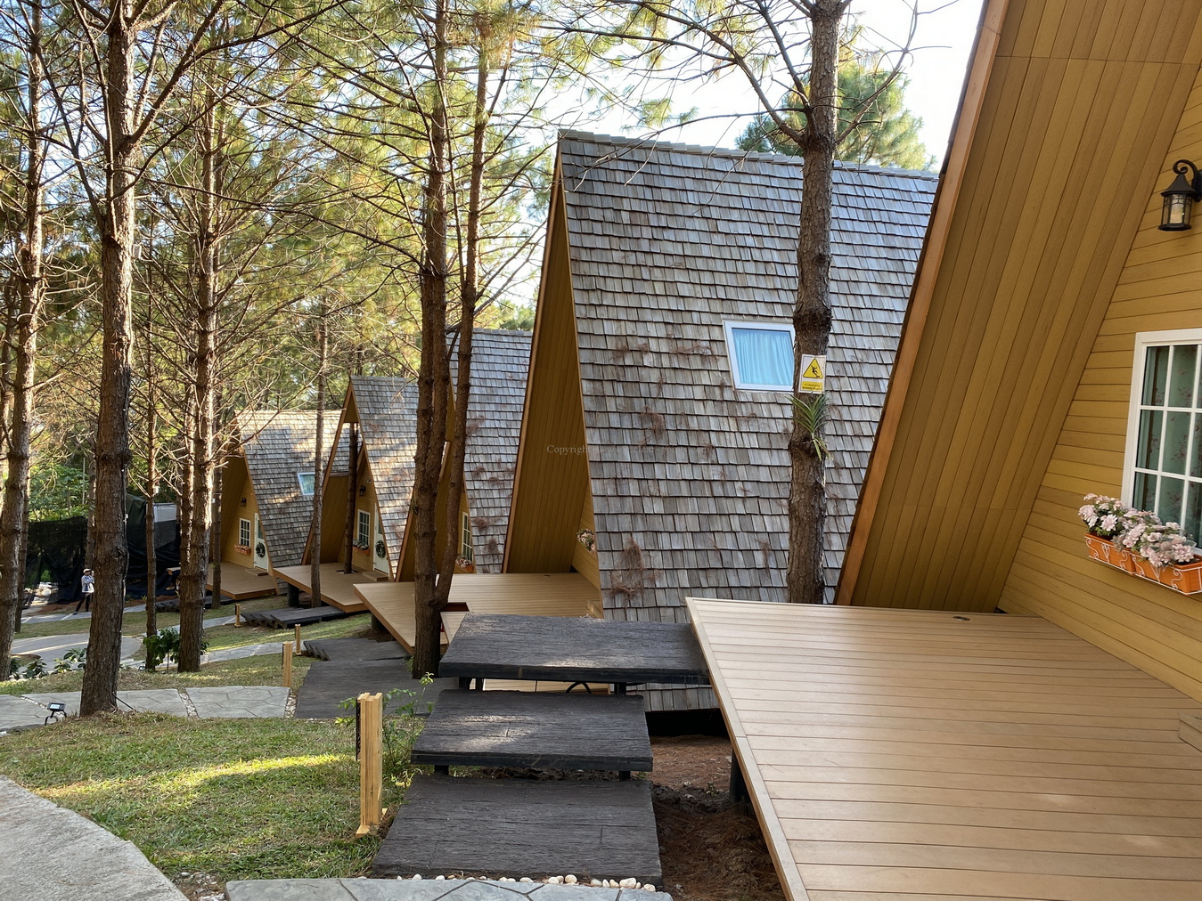 ร่มรื่นกับธรรมชาติ ที่ป่าสนวิลล่า